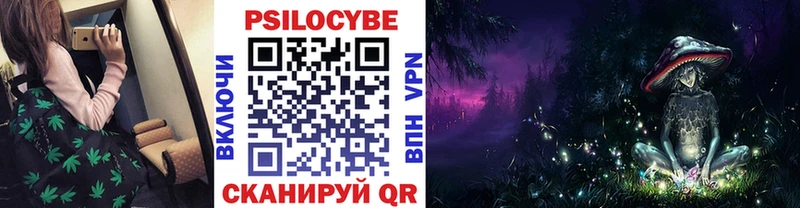 Псилоцибиновые грибы прущие грибы  kraken ССЫЛКА  Чапаевск 
